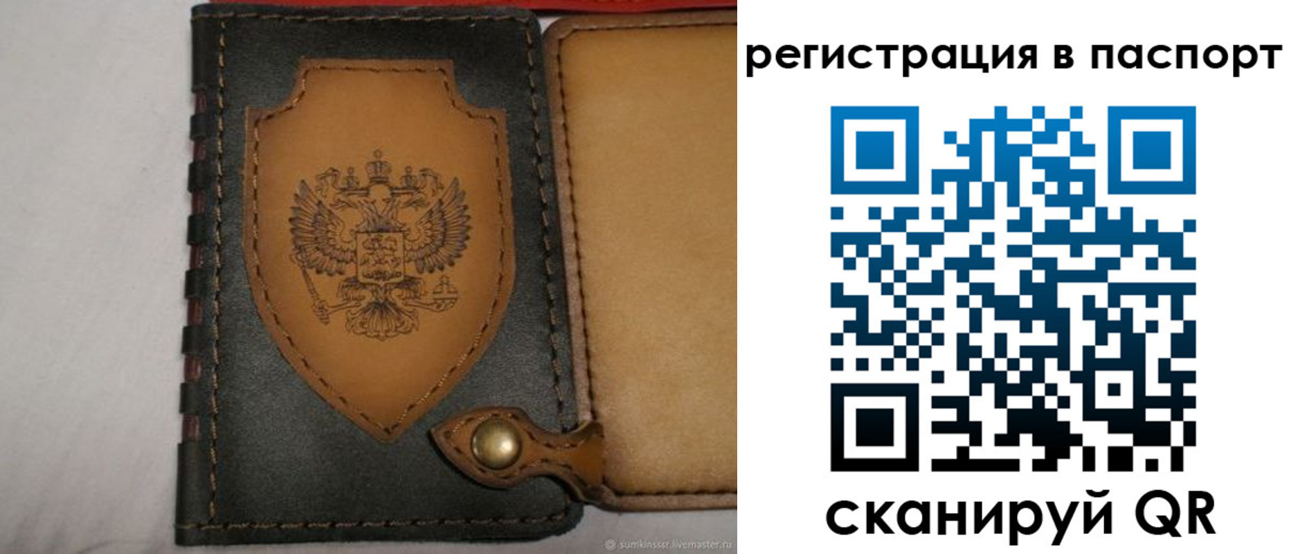 прописка поиск в Сафоново